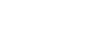 Custom image 1 alt text